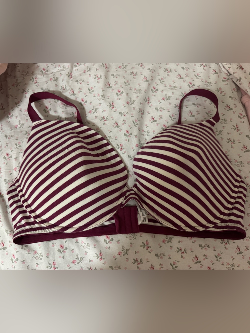 Striped Molded Underwire Bra in Burgundy and Cream